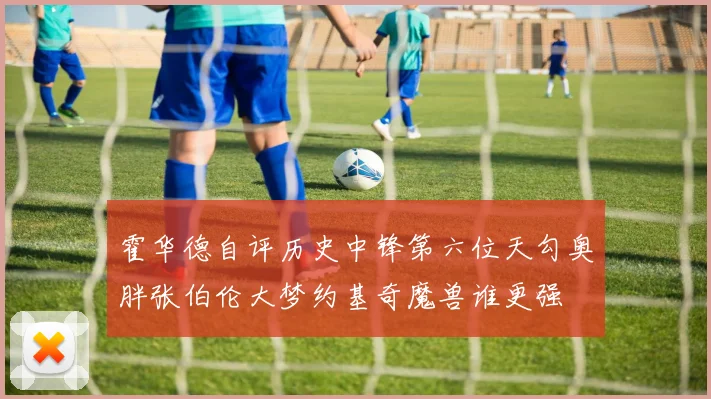 霍华德自评历史中锋第六位天勾奥胖张伯伦大梦约基奇魔兽谁更强