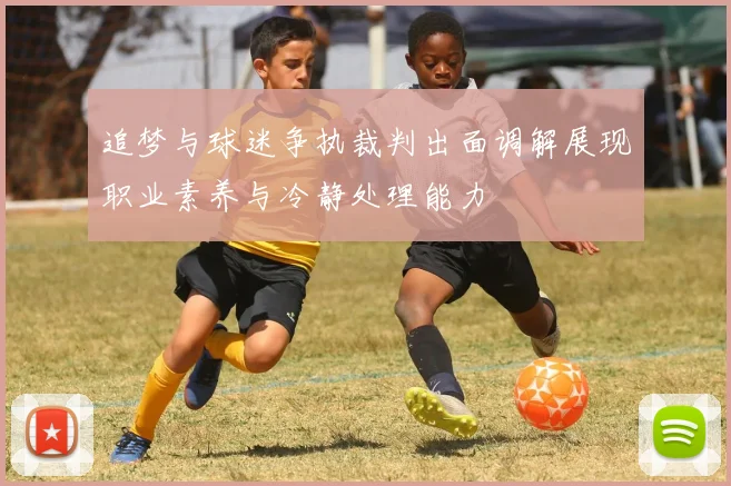 追梦与球迷争执裁判出面调解展现职业素养与冷静处理能力