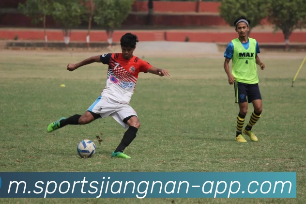 江南体育平台生态图